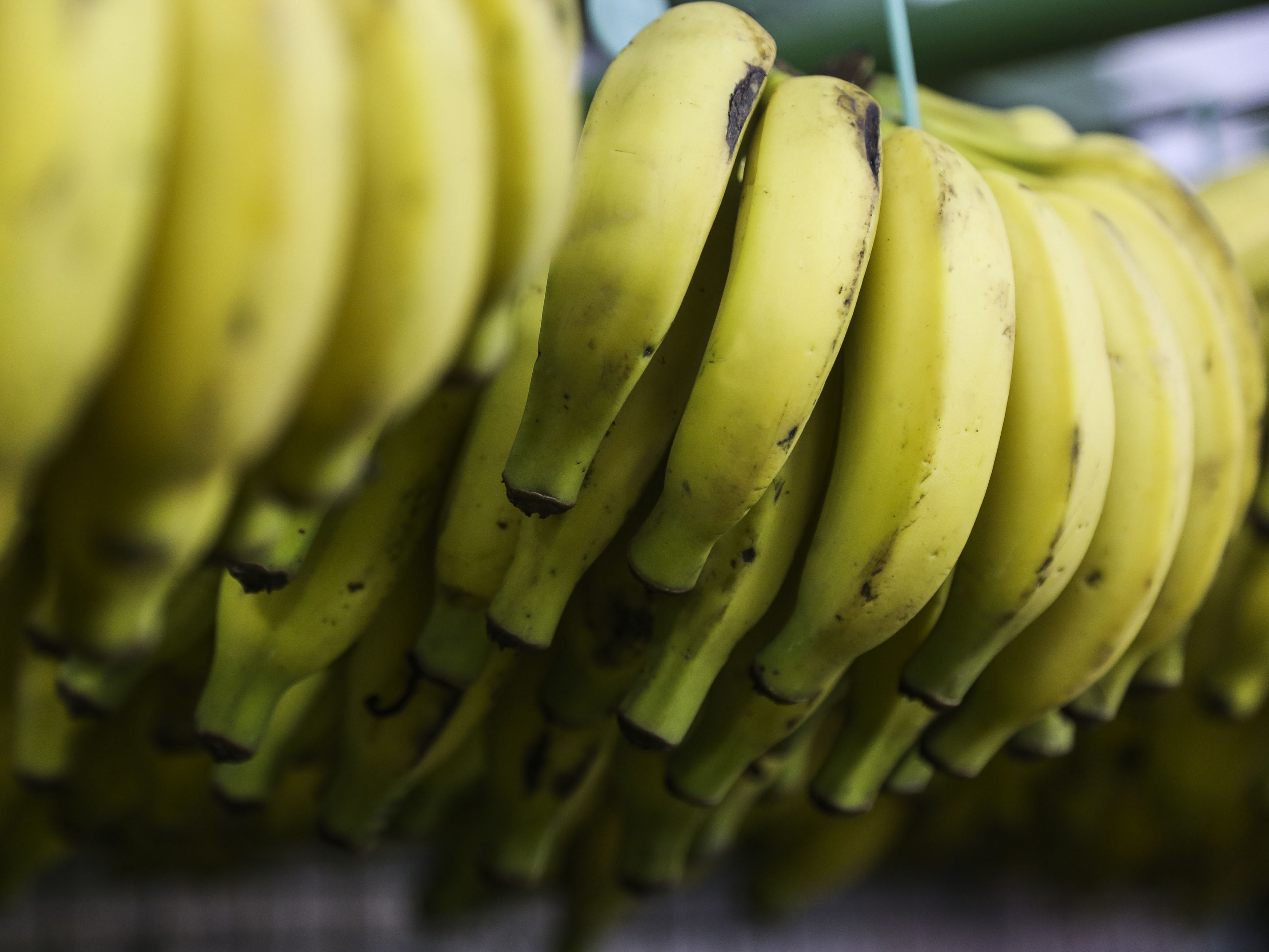 Banana Litoral Paranaportal
