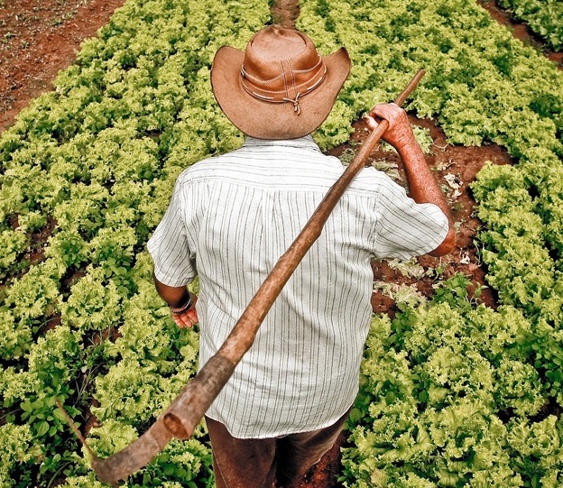 Agricultura Familiar