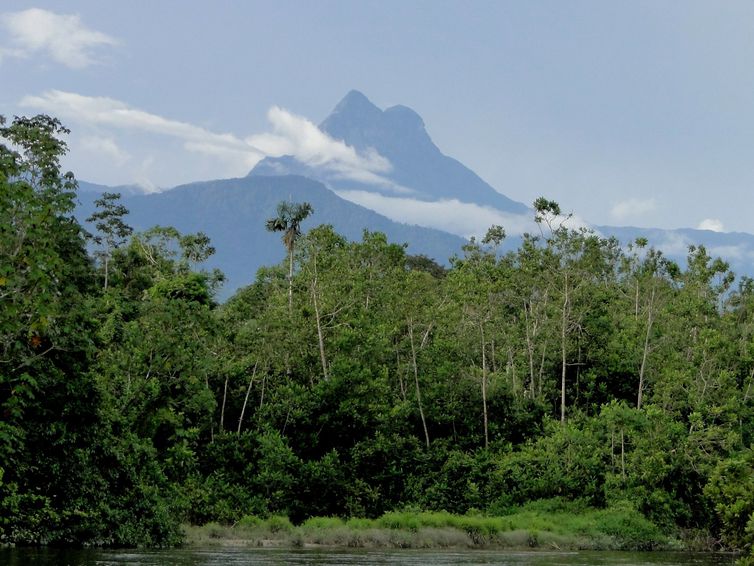 Pico Da Neblina